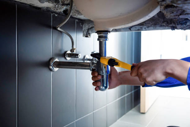 Best Plumbing Inspections & Maintenance in Catlin, IL